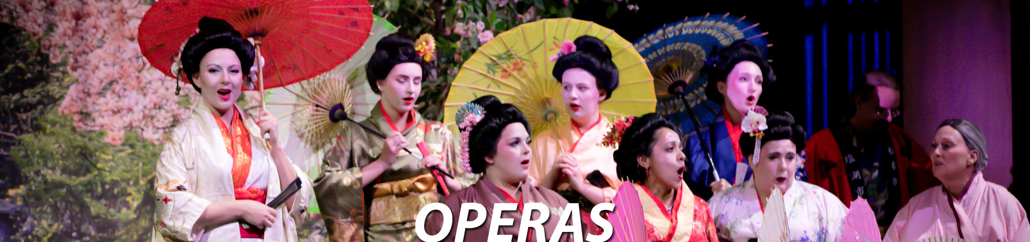 Operas at Lyrical Opera Theater