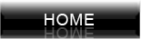 Home button